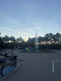017